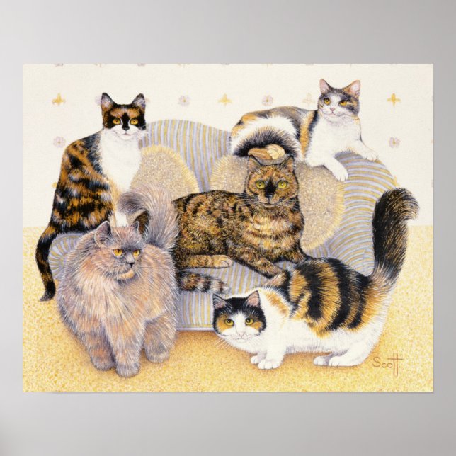 Tortoiseshell dam poster (Framsidan)