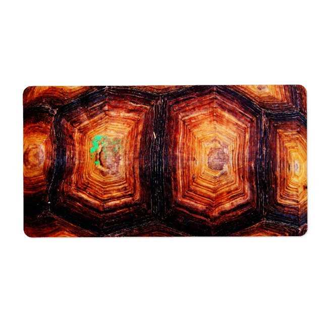 Tortoiseshell Fraktsedel (Framsidan)