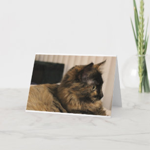Tortoiseshell-gratulationskort för katt - tomt inu kort