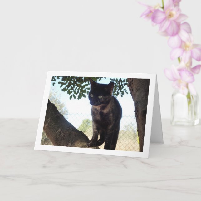 Tortoiseshell Kitten i Träd Kort (Orkide)