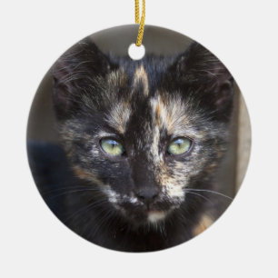 Tortoiseshell Kitten Julgransprydnad Keramik