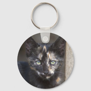 Tortoiseshell Kitten Nyckelring