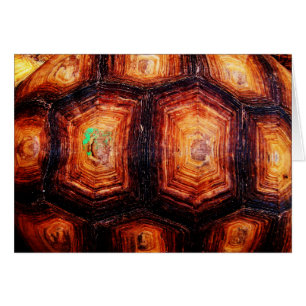 Tortoiseshell-kort Hälsningskort