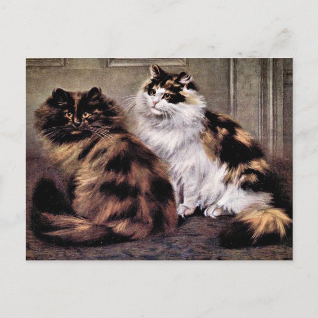 Tortoiseshell Persian Cats Art Vykort (Framsida)