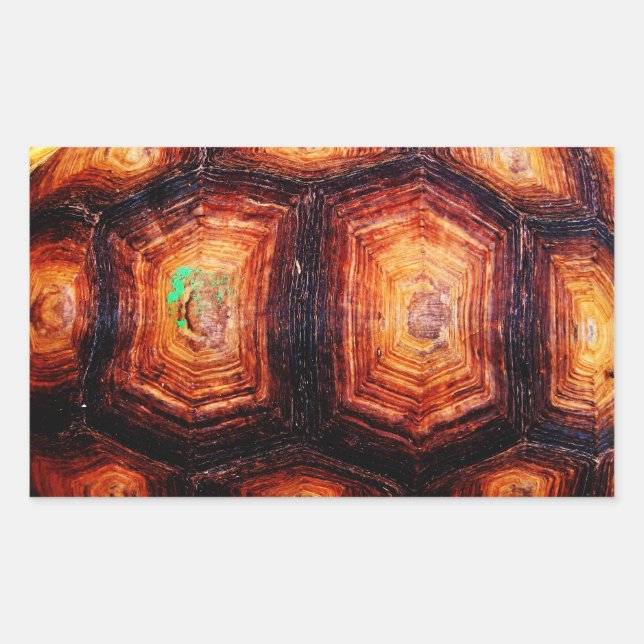 Tortoiseshell Rektangulärt Klistermärke (Framsida)