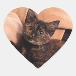 Tortoiseshell, Tortie, Tortie Kitten, Kitten, Cat Hjärtformat Klistermärke