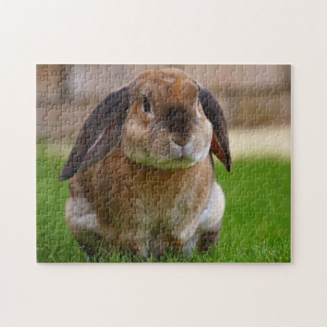 Tortoiseshell Velveteen Holland Lop Bunny Rabbit Pussel (Horisontell)