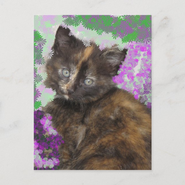 Tortoisshell Kitten i Gree och Lila blommor Vykort (Framsida)