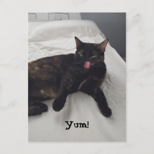 Tortoisskal Kat Tunga Slickande Yum Postkort Vykort