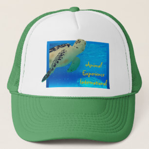 Tortuga hatt keps
