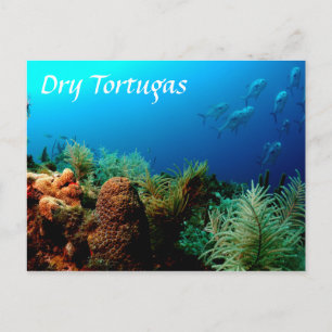 Tortugas nationalpark, korallrev vykort