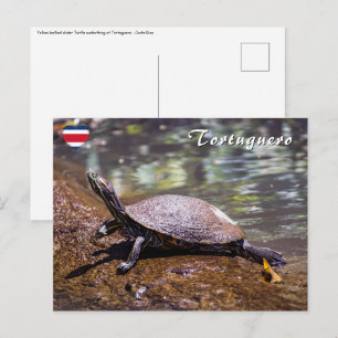 Tortuguero - Gulbukad nätsköldpadda Vykort