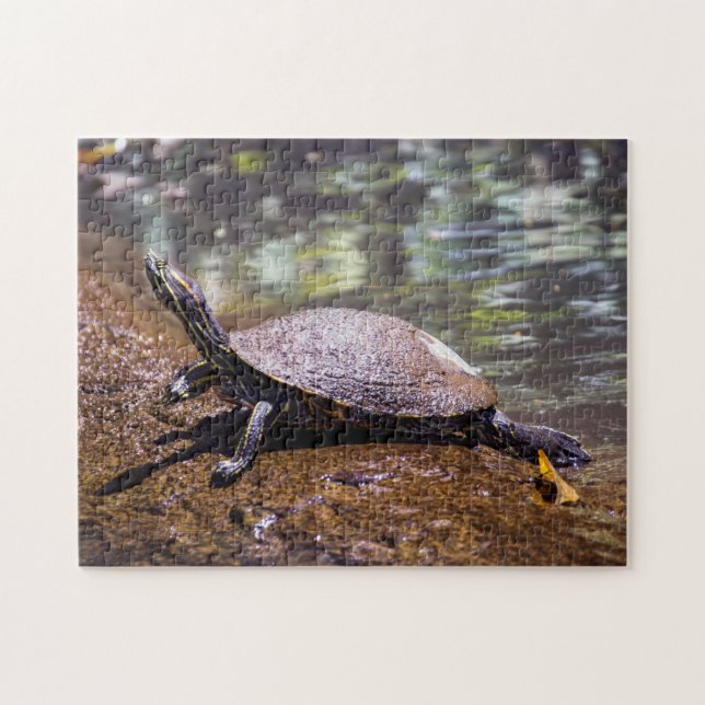 Tortuguero - skjutreglaget Turtle med Gult Pussel (Horisontell)