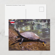 Tortuguero - skjutreglaget Turtle med Gult