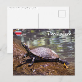 Tortuguero - skjutreglaget Turtle med Gult Vykort