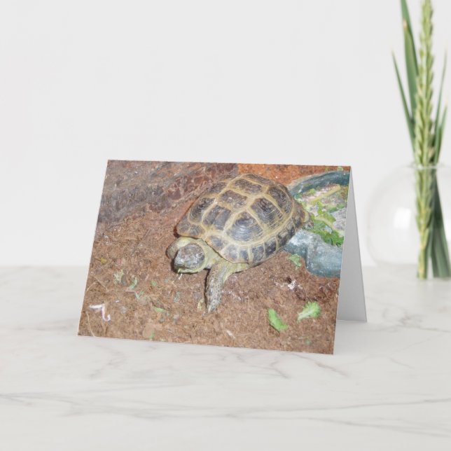 "Tortuse" Snart Bättre Kort (Framsida)