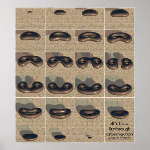 torus 4D fluga-till och med tvärsnitt Poster