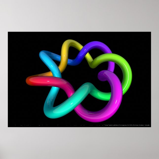 Torus Twist II Poster (Framsidan)