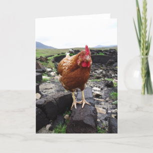 Torvahöna, Irland Kort