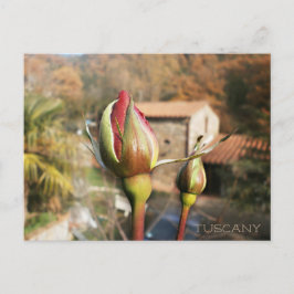 Toscanska hösten ro. Toskana. Vykort