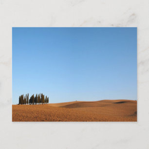 Toscanskt landskap med cypresses-vykort vykort