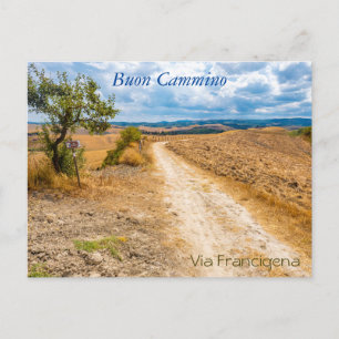Toscensk landskapsbild längs via Francigena, Itali Vykort