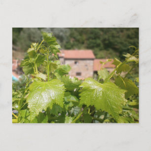 Toskana. Italien. Cortona. Vykort
