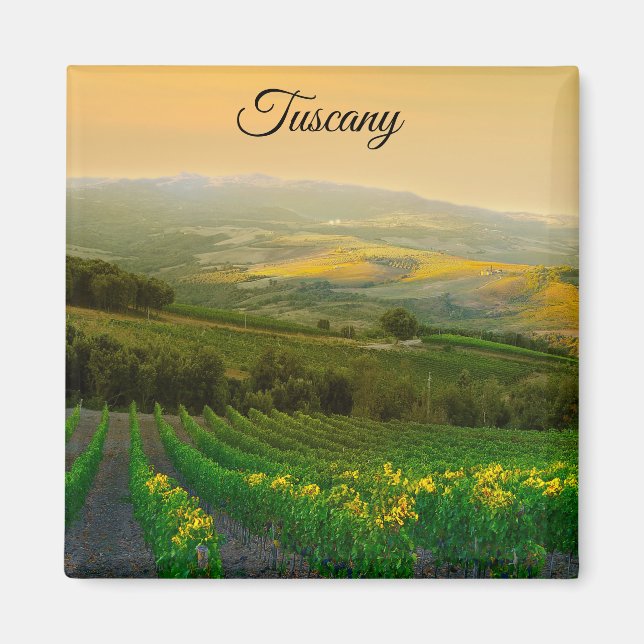 Toskana Italien Italienska Vineyard Photo Magnet (Framsidan)