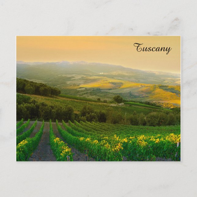 Toskana Italien Italienska Vineyard Travel Photo Vykort (Framsida)