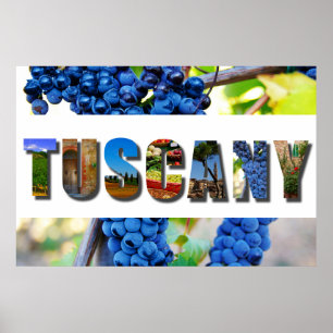 Toskana Italien Italienska Vineyard Travel Photos Poster