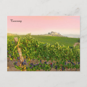 Toskana Italien Snyggt Italienska Villa Vineyard Vykort