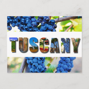 Toskana Italien Toskana Vineyard Travel Photos Vykort