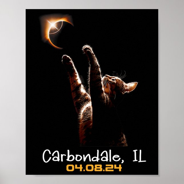 Total Solar Eclipse Carbondale Illinois Poster (Framsidan)