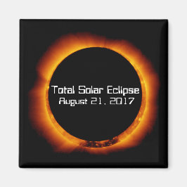 Totalt 2017 solcellsmoduler magnet