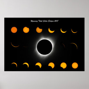 Totalt solcellsbatteri Poster 2017