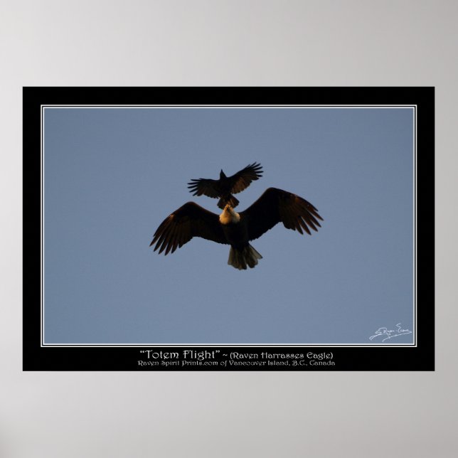 TOTEM FLIGHT ~ Photo Poster (Framsidan)