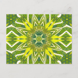 TOTEM WILDFLOWER 13 VYKORT