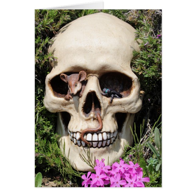 Totenkopf - Gothic / Karte OBS Kort (Framsidan)