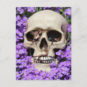 Totenkopf - gotiic / Postkarte Vykort