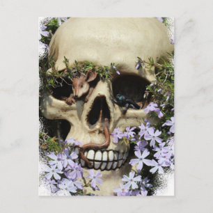 Totenkopf - gotiic / Postkarte Vykort