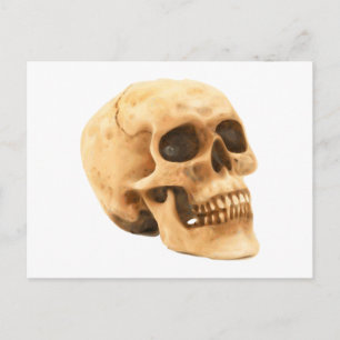 Totenkopf Schädel skalle Vykort