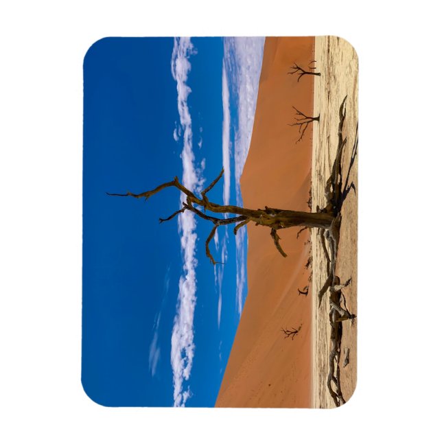 Toter Baum in Deadvlei Magnet (Vertikal)