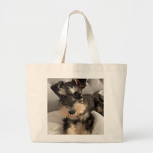 Toteväska
