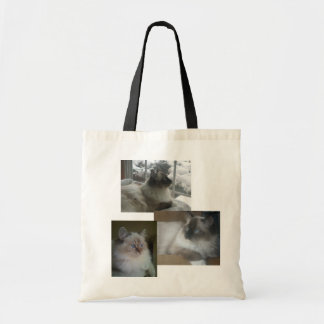 Toto för Collage för jul för Ragdoll Himalayan Tygkasse