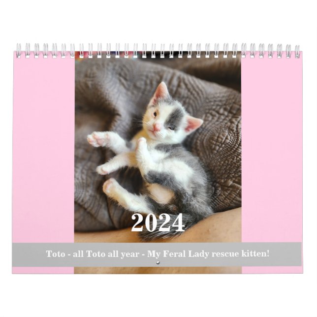 Toto Kitten (My Feral Dam rädding) 2024-kalender Kalender (Omslag)