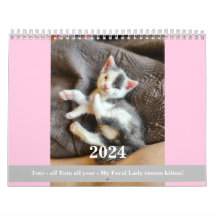 Toto Kitten (My Feral Dam rädding) 2024-kalender