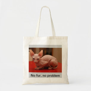 toto med en gullig sphynxkattunge tygkasse