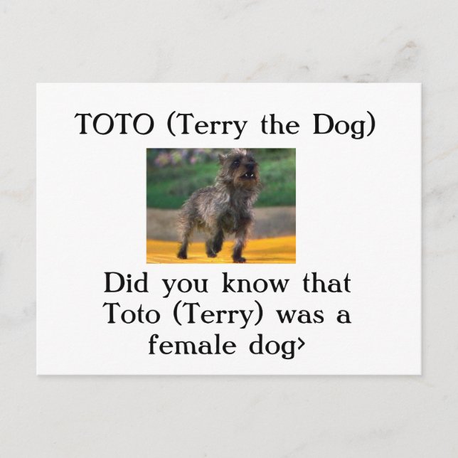 Toto (Terry the Hund) Vykort (Framsida)