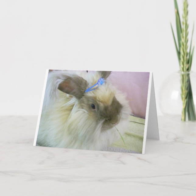 Totot för molnstadsfibrer hänger lös kort (Framsida)