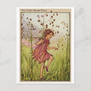 Totter-Grass Fairy Vykort